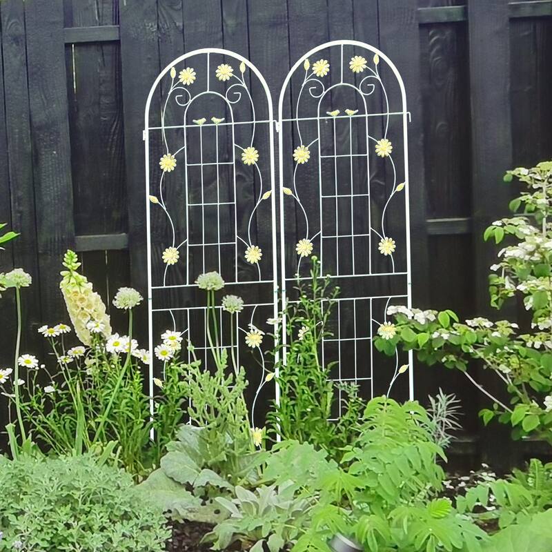 2/4 Pack Metal Garden Trellis for Climbing Plants Outdoor 71" x 19.7" Country Style Plant Support Rustproof Metal Rose Trellis - White - 2 Pack
