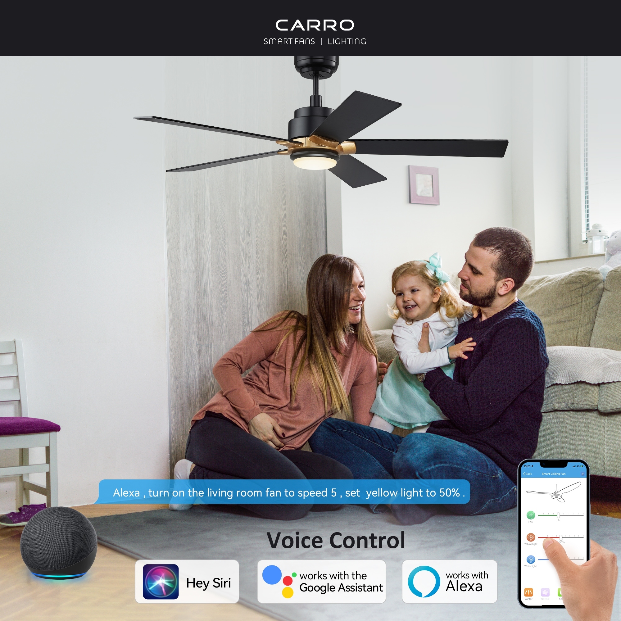 Ceiling fan shop with google home