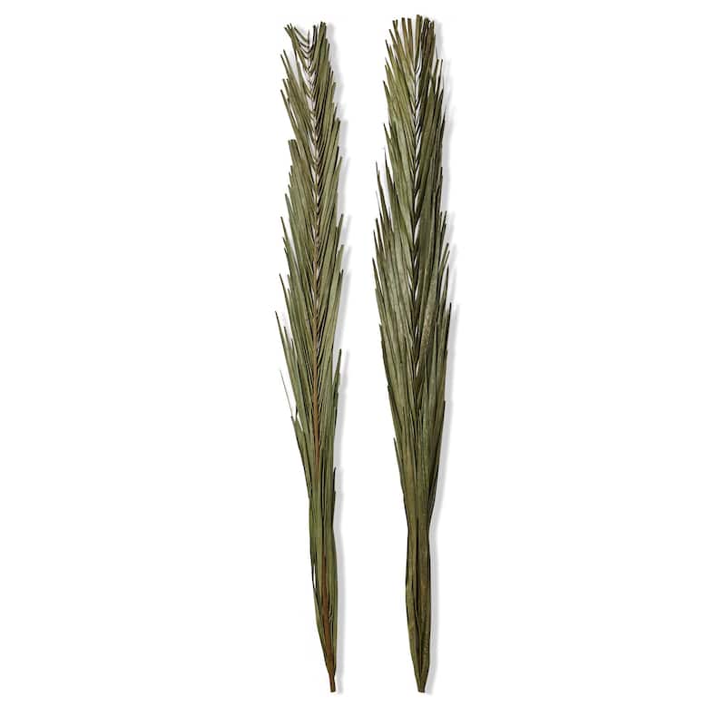 Khajur Leaves Set of 2 - Artificial Flower Stems for Indoor Decor, 38" Tall Green Botanicals, Everyday Use