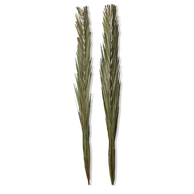 Khajur Leaves Set of 2 - Artificial Flower Stems for Indoor Decor, 38" Tall Green Botanicals, Everyday Use