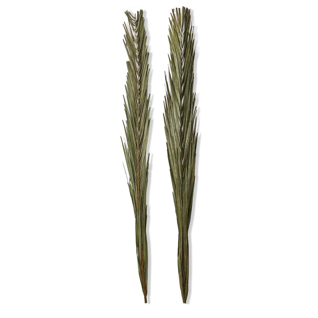 Khajur Leaves Set of 2 - Artificial Flower Stems for Indoor Decor, 38" Tall Green Botanicals, Everyday Use