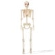 preview thumbnail 1 of 4, 5ft Animated Full Size Halloween Skeleton w Lightup Eyes and Speaker Multi