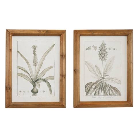 Light Brown Wood Vintage Framed Wall Art (Set of 2)