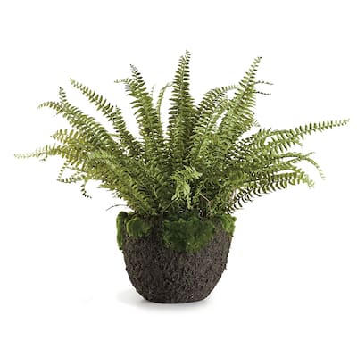 Grand Boston Fern Drop-In 30" - Green