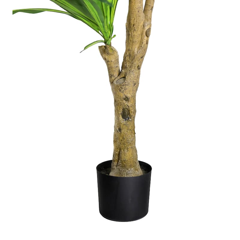 6ft Real Touch Artificial Dracaena Tree Plant in Black Pot - 72" H x 30" W x 30" DP
