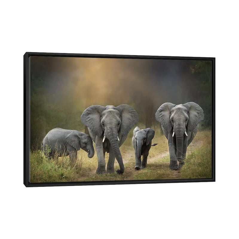 iCanvas "Elephant Family" by Patsy Weingart Framed - Black - 32x48