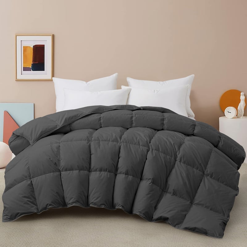 All Season 100% Cotton Goose Feather Down Comforter, Quilted Fluffy Duvet Insert - Full - Queen - Black
