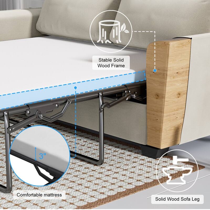 MIxoy Modern Velvet Queen Size 2-in-1 Pull Out Sleep Sofa Bed