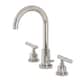 Option Polished Nickel