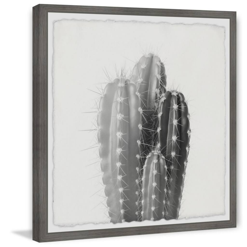 Four Cacti Framed Wall Art, Elegant Home Touch - Sophisticated Artwork for Refined Décor