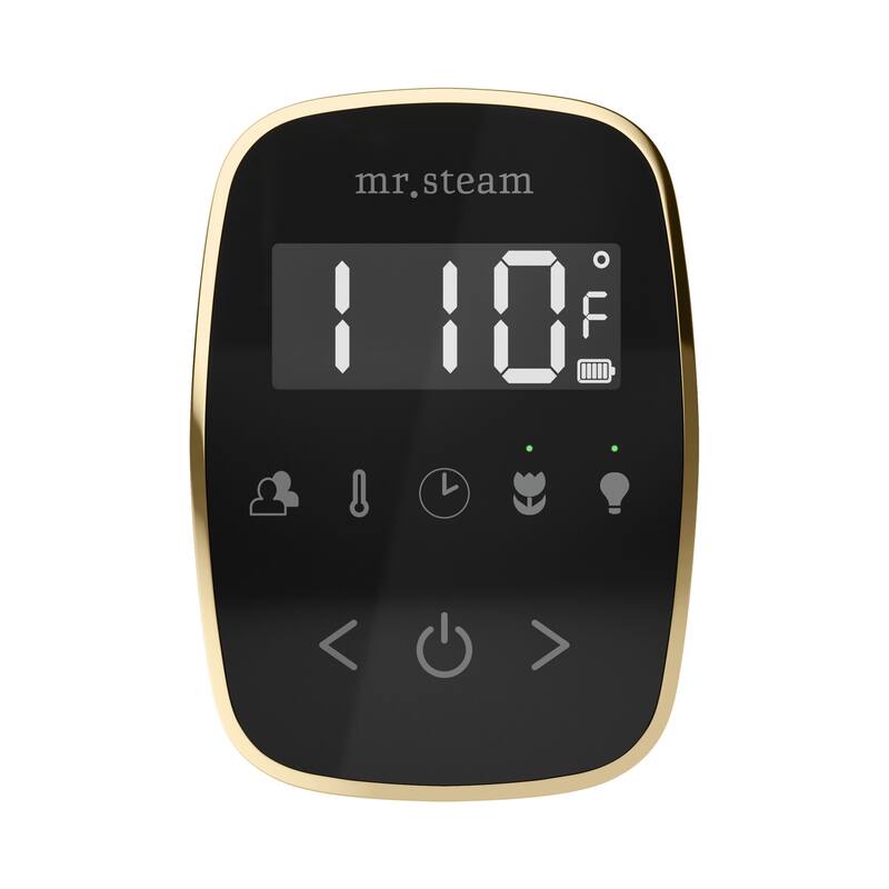 Mr Steam BTL Butler Touch Linear Package Steam Shower Control Package