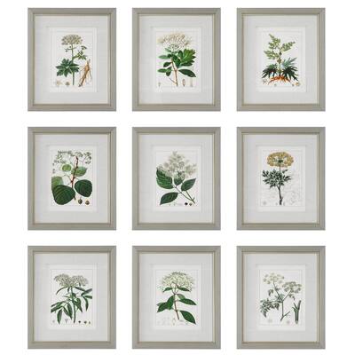 Botanicals Framed Wall Art - 20" x 17" - Green and Gray - Set of 9