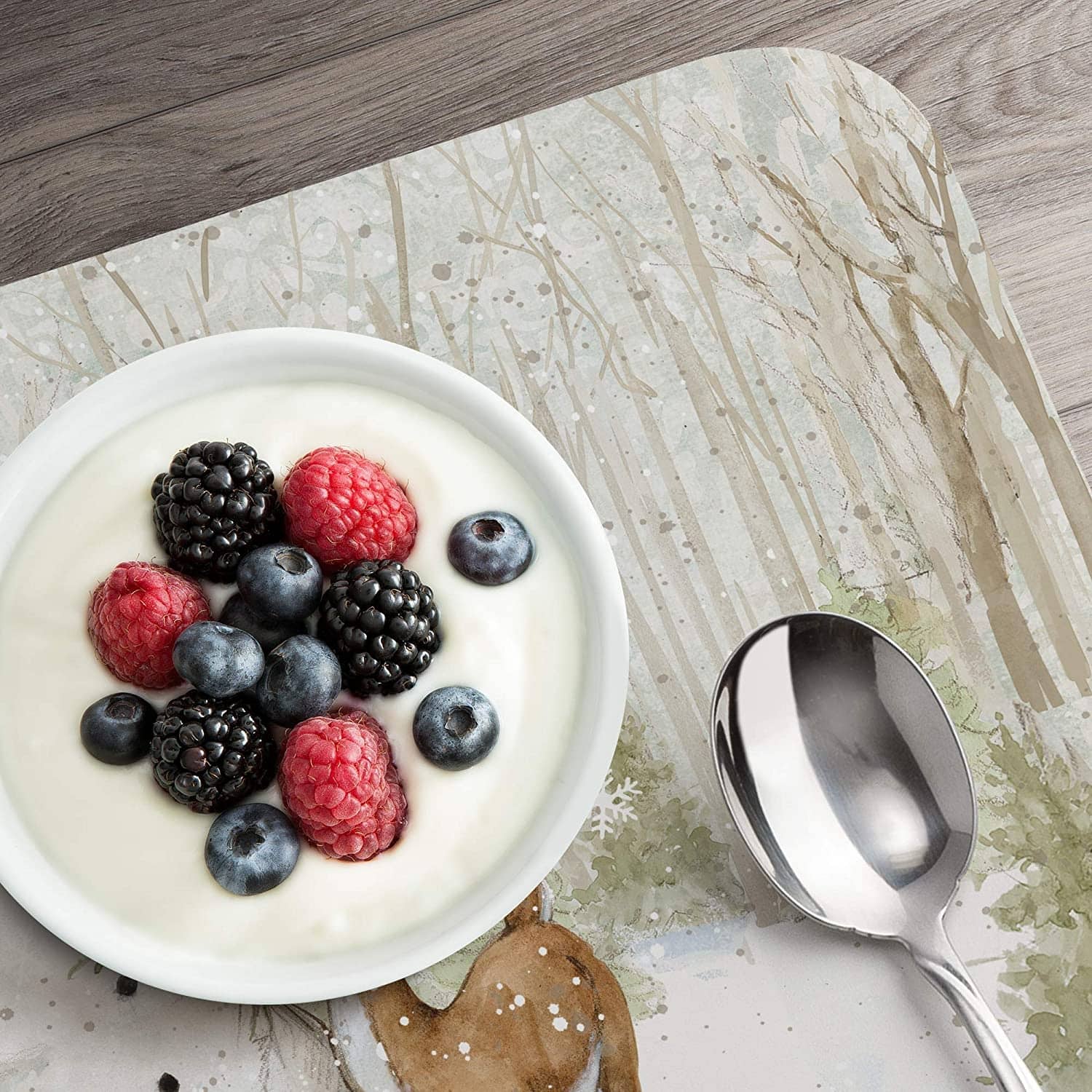 Reversible Wipe Clean Plastic Placemats Winter Forest Set of 4 On