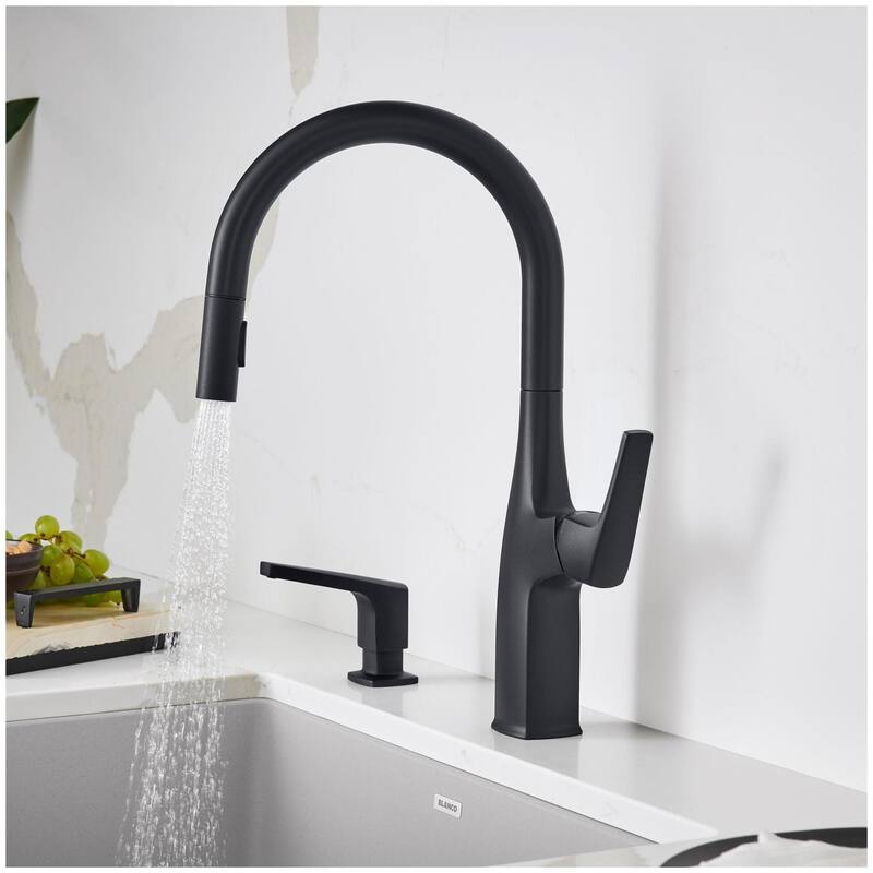 Blanco Rivana 1.5 GPM Single Hole Pull Down Kitchen Faucet