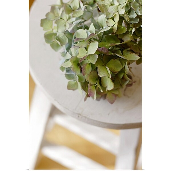 "Hydrangea on a stool" Poster Print