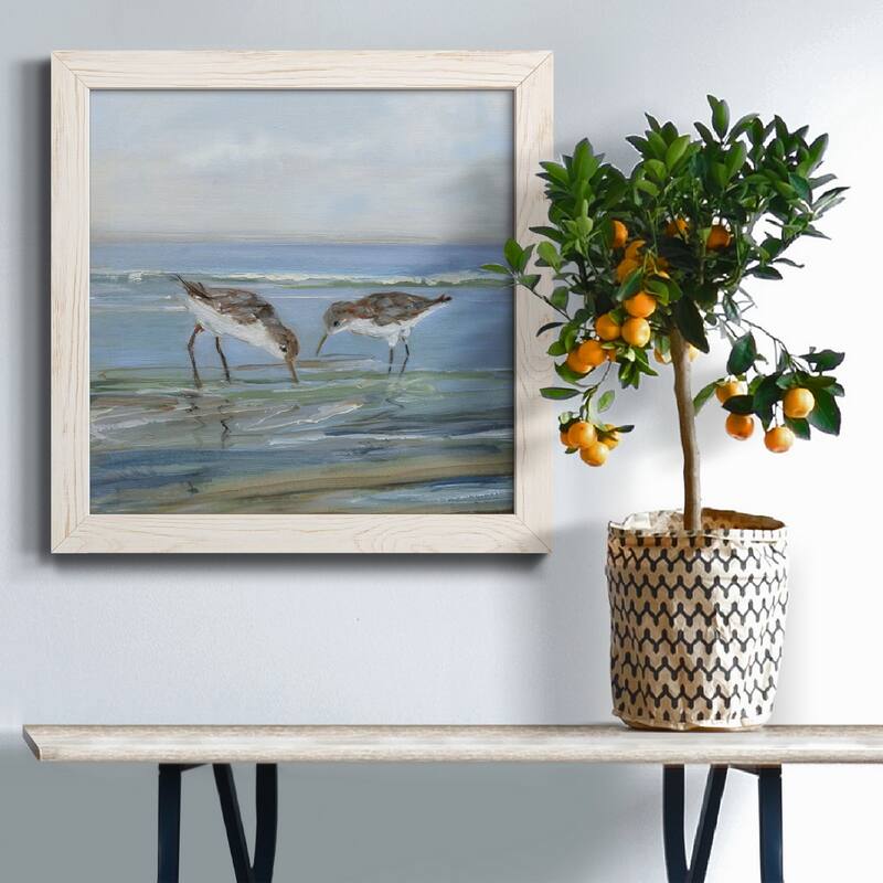 Seabird Beach II-Premium Framed Canvas - Ready to Hang