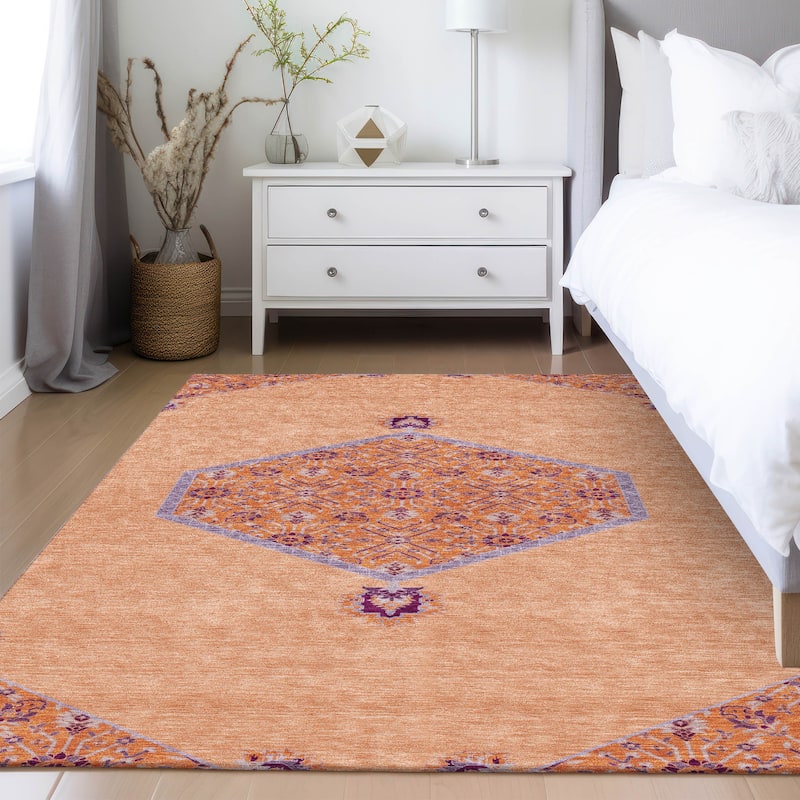 Machine Washable Indoor/ Outdoor Traditional Chantille Rug