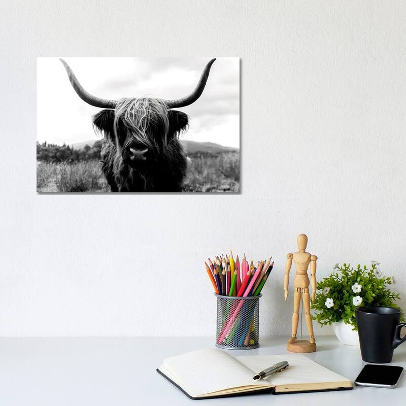 iCanvas "Portrait Of A Scottish Wooly Highland Cow In Scotland - Black And White" by Michael Schauer Canvas Print - 8x12x0.75