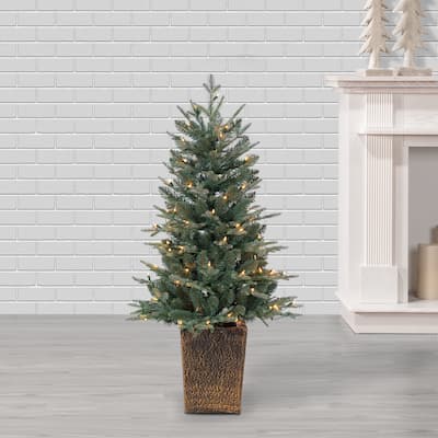4ft Pre Lit Potted Natural Cut Blue Spruce with 100 Lights and 605 Branch Tips