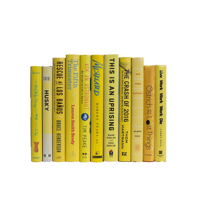 Books Yellow Decorative Accessories: Sunshine Dust Jacket ColorPak