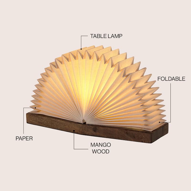 Darla Modern Art Deco Paper Half Pleated Fan LED Table Lamp, Natural