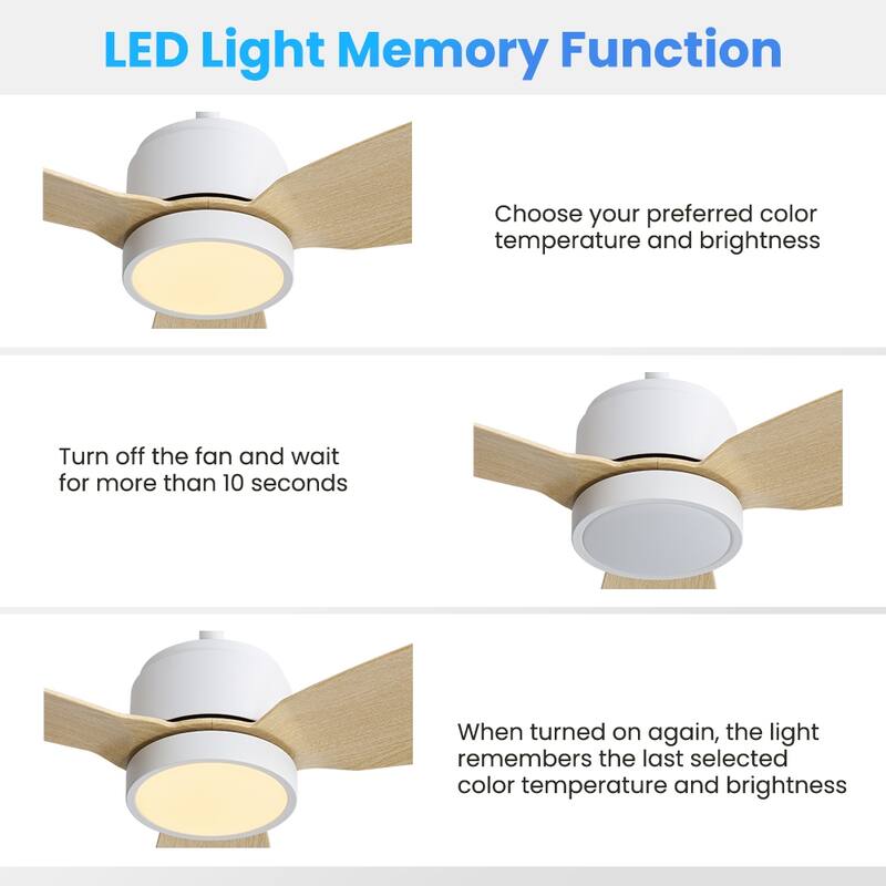 MLiAN 42 in 3 ABS Blades Indoor and Outdoor Ceiling Fan with Integrated LED and Remote Downrod