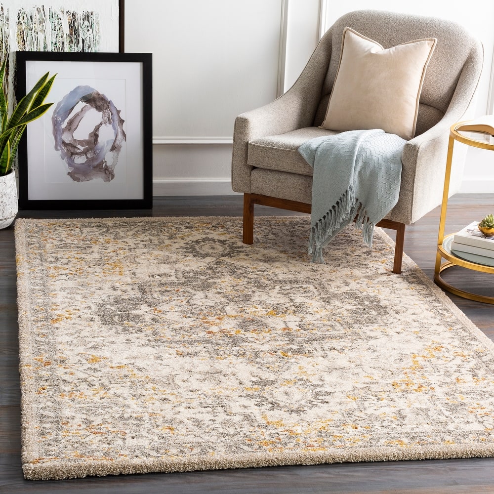 Artistic Weavers Pienza Plush Traditional Medallion Area Rug
