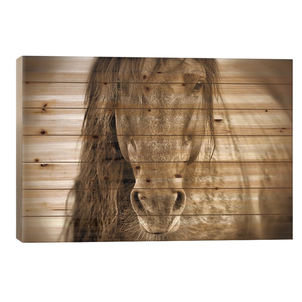 Mustang Sally Print On Wood by Lisa Dearing - Multi-Color