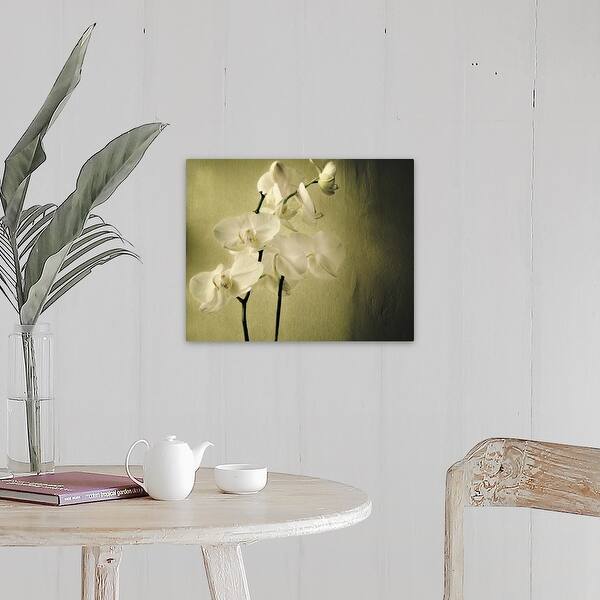 Shop Orchids At Green Wall Canvas Wall Art Free Shipping Today Overstock 16495347