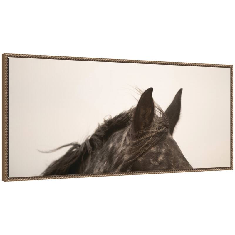 Kate and Laurel Horse Ears Panel by Crystal Lynn Collins Framed Canvas Wall Art Print - 18x40 - Gold