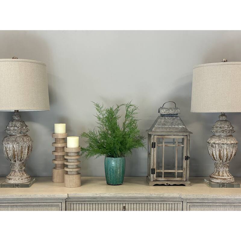Organic Modern Ferns Arranged in a Ceramic Pot - Green