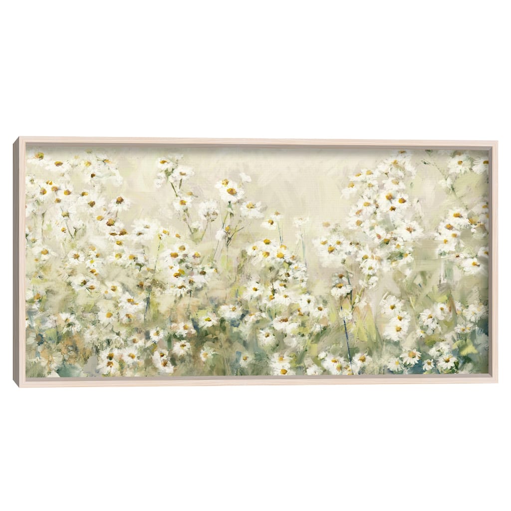 Daytime Daisies by Studio Arts Framed Canvas Art Print