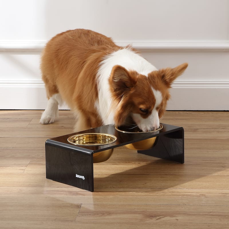 Keaton 5" Small/Medium Modern Lucite Rectangular Elevated Pet Feeder with 20oz 2-Stainless Steel Bowls