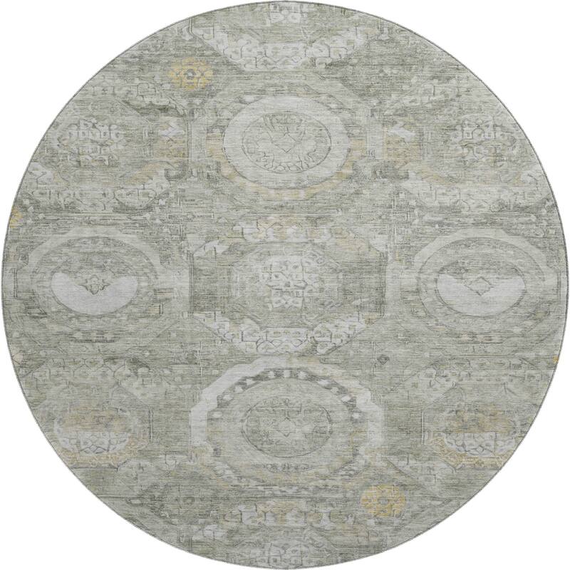 Premium Washable Super Soft Vintage Medallions Mayfield Rug