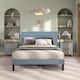 Option Light Blue