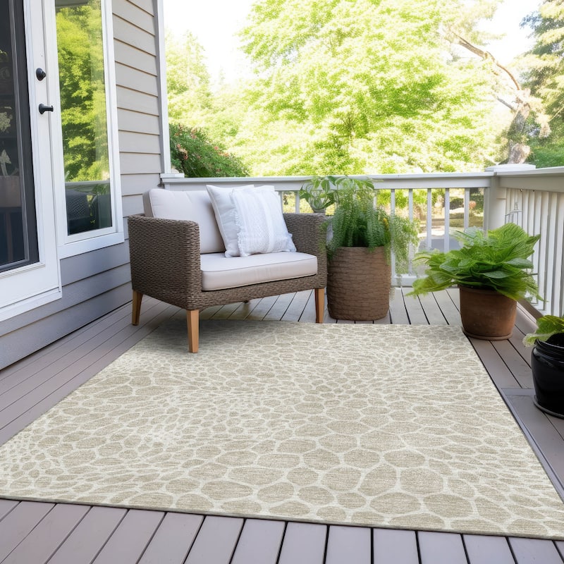 Machine Washable Indoor/ Outdoor Chantille Animal Print Rug - Beige - 10' x 14'