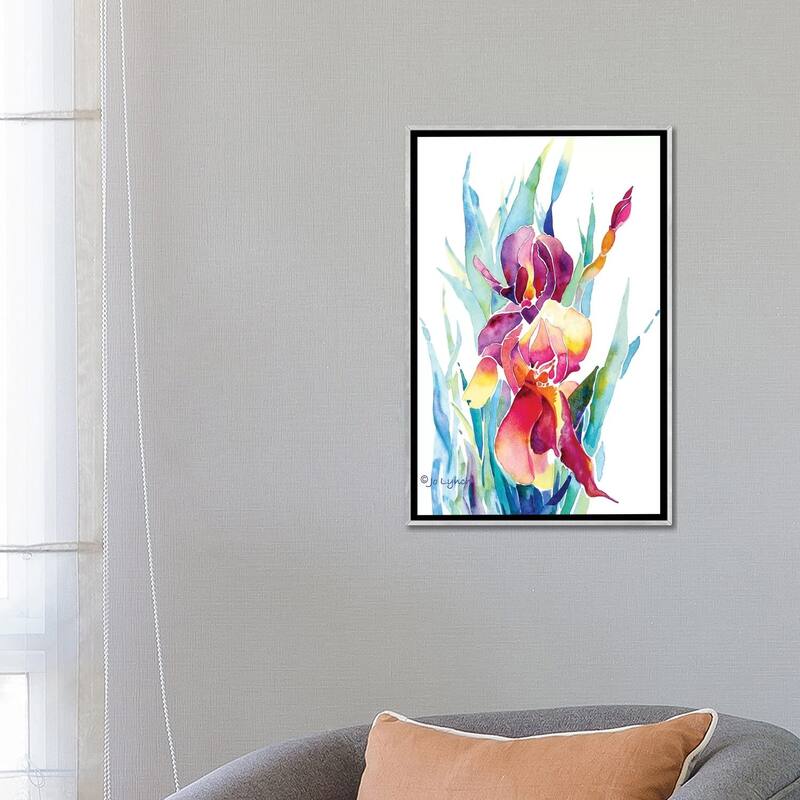 iCanvas "Iris Flower" by Jo Lynch Framed