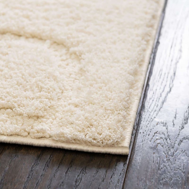 Shag Milson Collection Area Rug