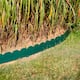 Option Green