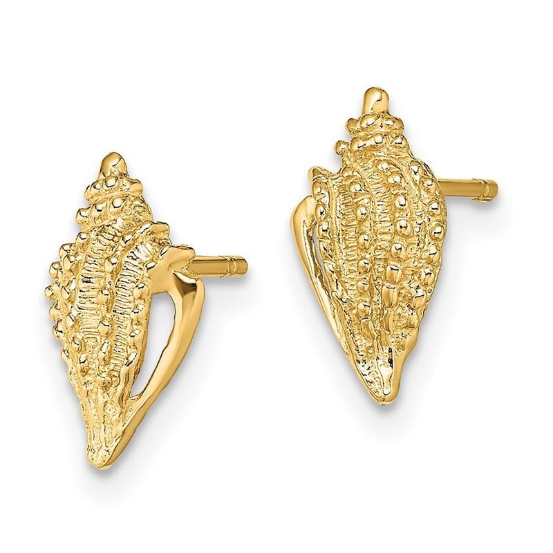 Curata 14k Yellow Gold Mini Conch Shell Post Earrings With Open Side - 11.45x6.2mm Wide