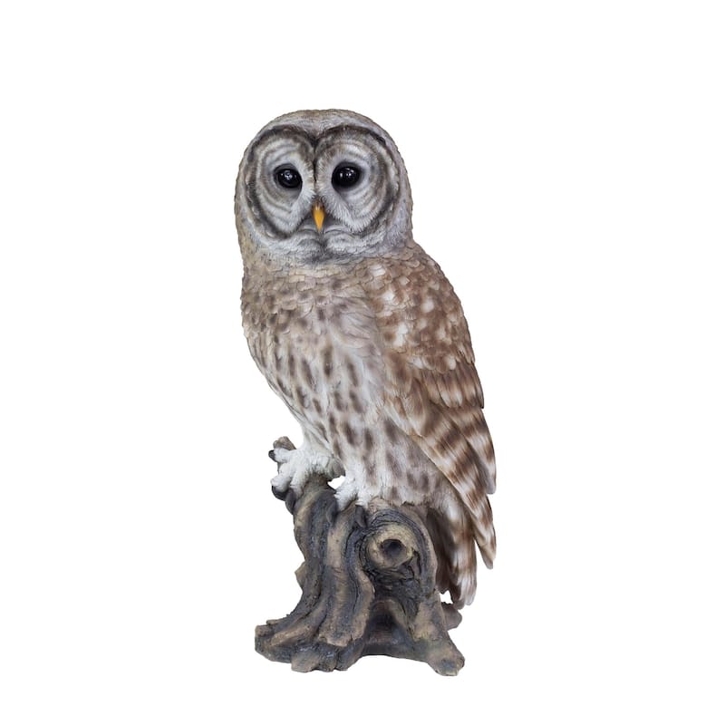 Barred Owl Standing on Branch Outdoor Garden Statue - 13.75"