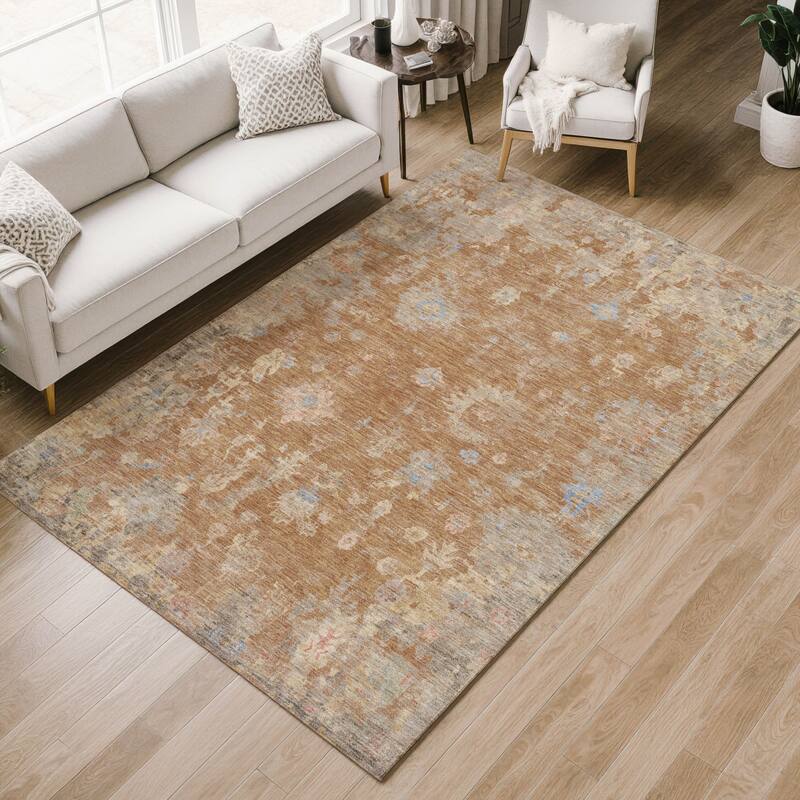 Machine Washable Indoor/ Outdoor Vintage Traditional Chantille Rug