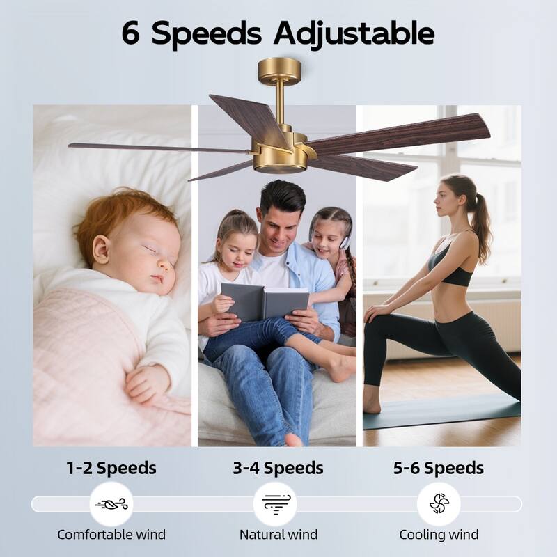 MLiAN 54 inch 5 Blades Indoor Ceiling Fan Remote Control 6-Speed DC - N/A