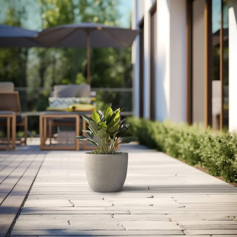 Tall Concrete Round Plant Pots / Large Indoor and Outdoor flower Planters - 14 Inch x 12 Inch - Light Gray