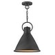 preview thumbnail 2 of 4, Hinkley Winnie 1-Light Pendant in Aged Zinc