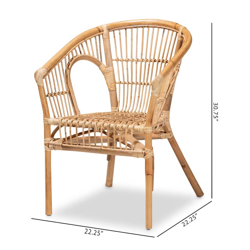 Alleta Modern Bohemian Natural Brown Rattan 2-Piece Dining Chair Set