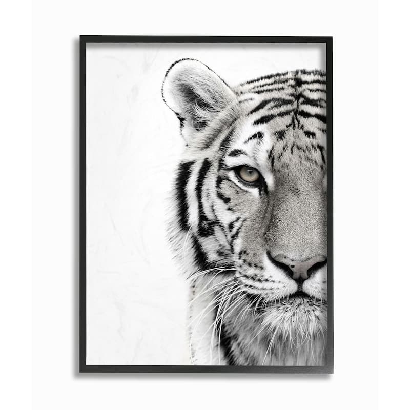 Stupell White Tiger Close Up Black and White Photography, 11 x 14, Proudly Made in USA - Multi-Color - 11 x 14