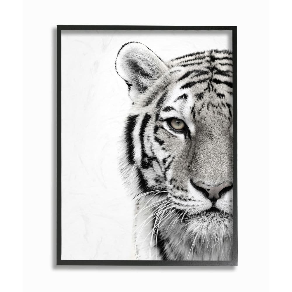 Stupell White Tiger Close Up Black and White Photography, 11 x 14, Proudly Made in USA - Multi-Color