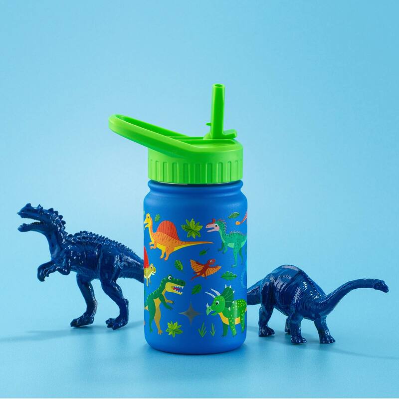 Stainless Steel Kids Water Bottle with Straw Lid - 12 oz