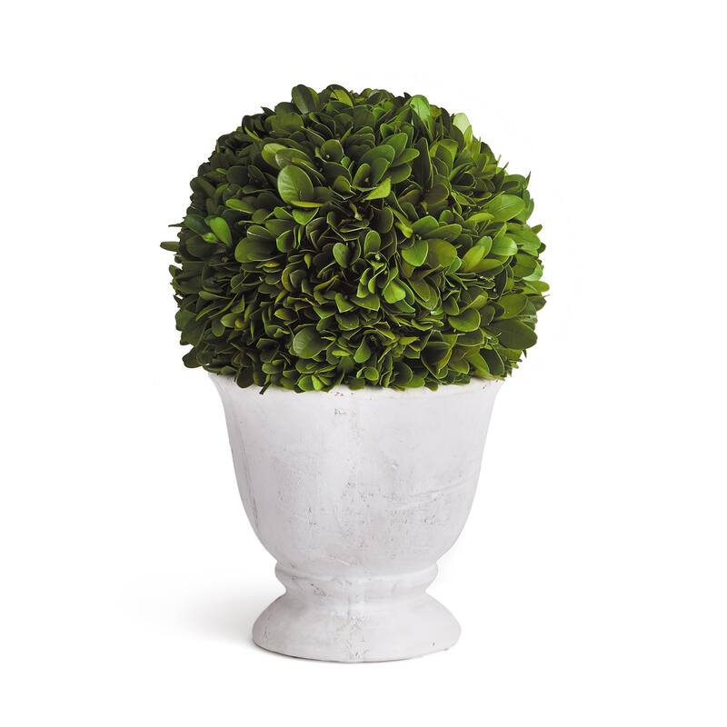 Boxwood Ball Topiary In Pot Small - Green